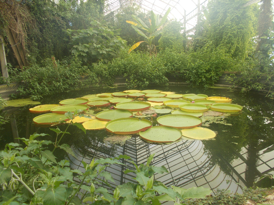 Ventnor Botanic Garden-文特诺必去景点