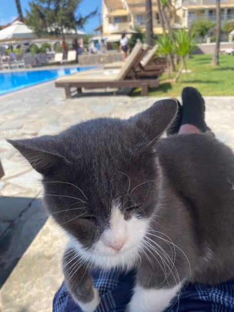 Theodoros Resort-旅行者