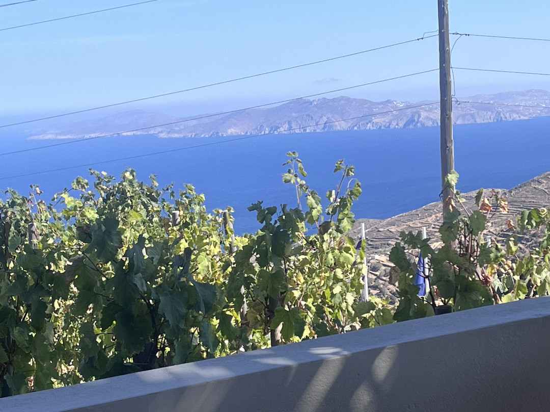 Vaptistis Winery