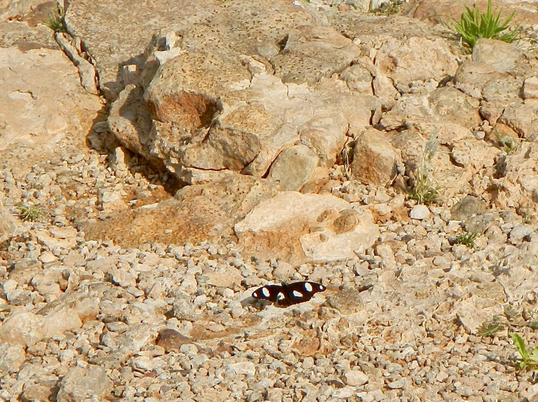 Fish River Canyon-Ais-Ais必去景点