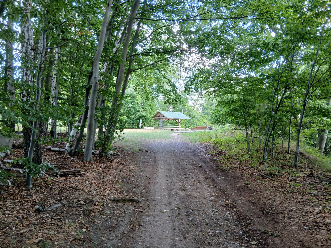 Aussichtspunkt Reiherberg-Feldberger Seenlandschaft必去景点