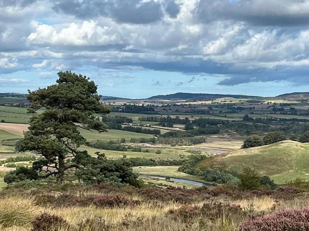 Hepple Wilds Estate-Rothbury必去景点