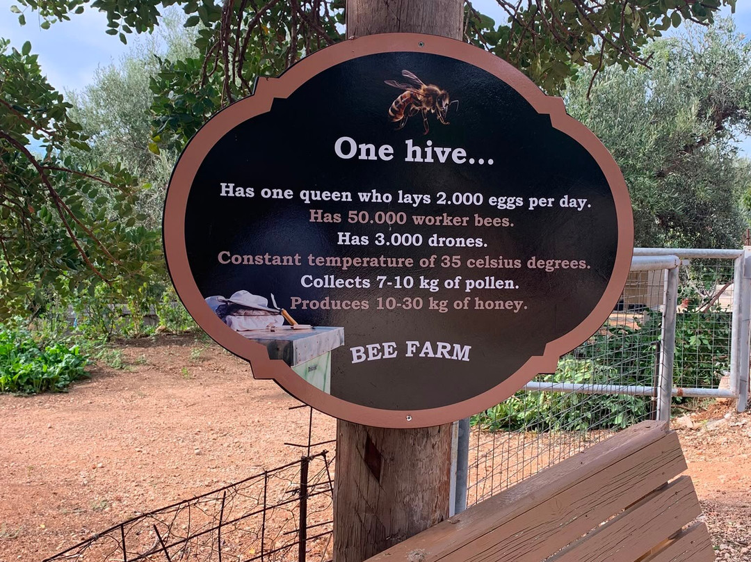 Bee Farm Kefalonian Honey Michalatos-Vlachata必去景点