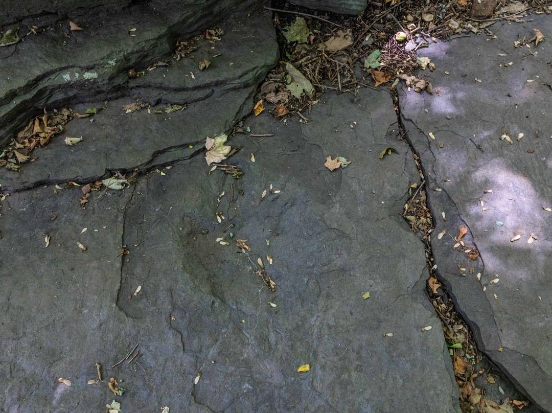 Powder Hill Dinosaur Park-Middlefield必去景点