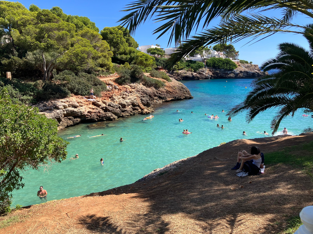 AluaSoul Mallorca Resort - Adults Only主图