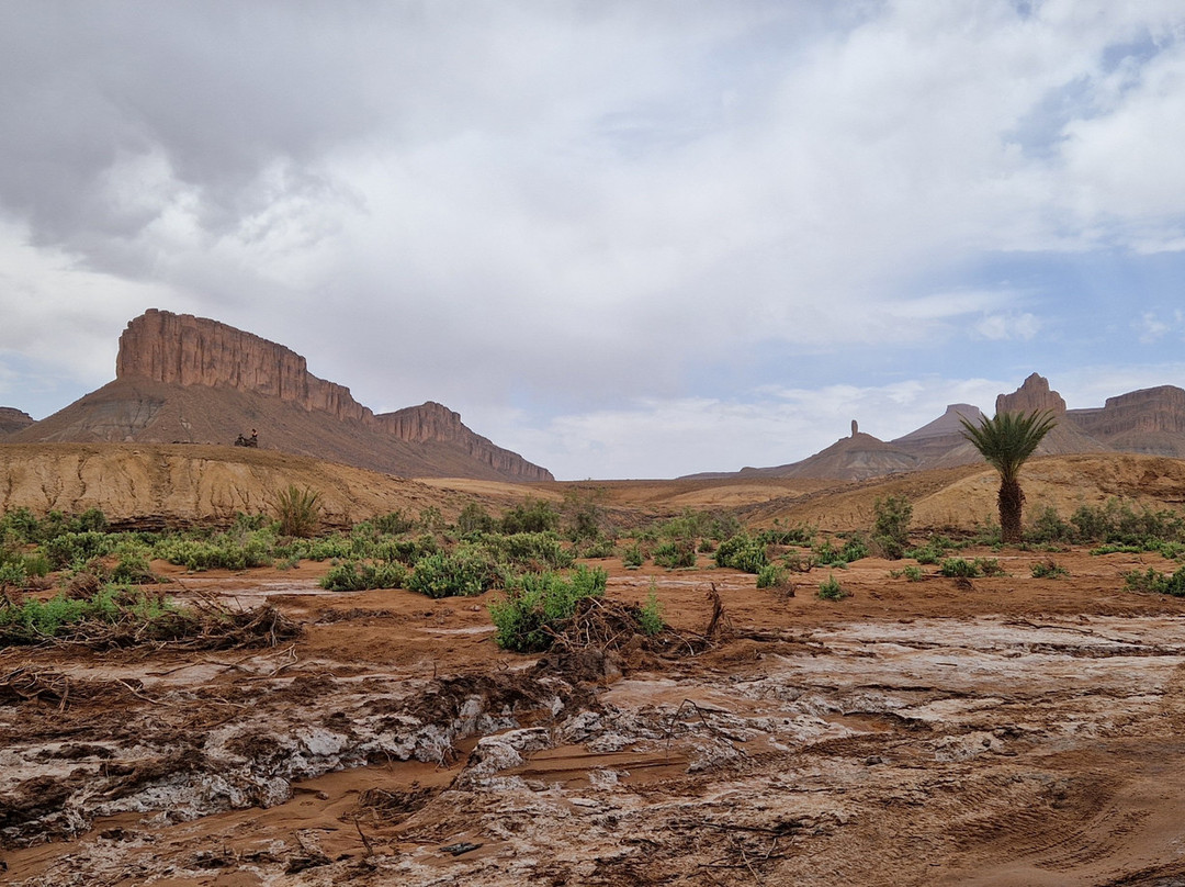 Via Morocco Tours-卡萨布兰卡必去景点