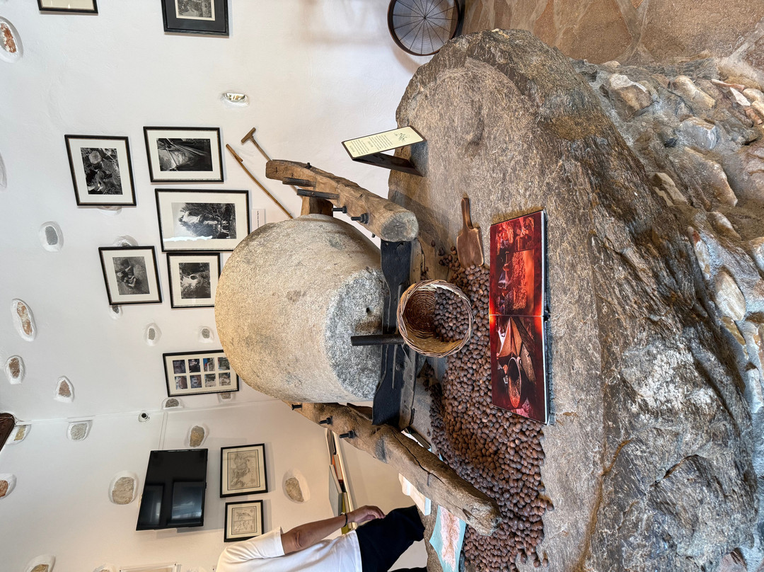 Eggares Olive Press Museum-Eggares必去景点