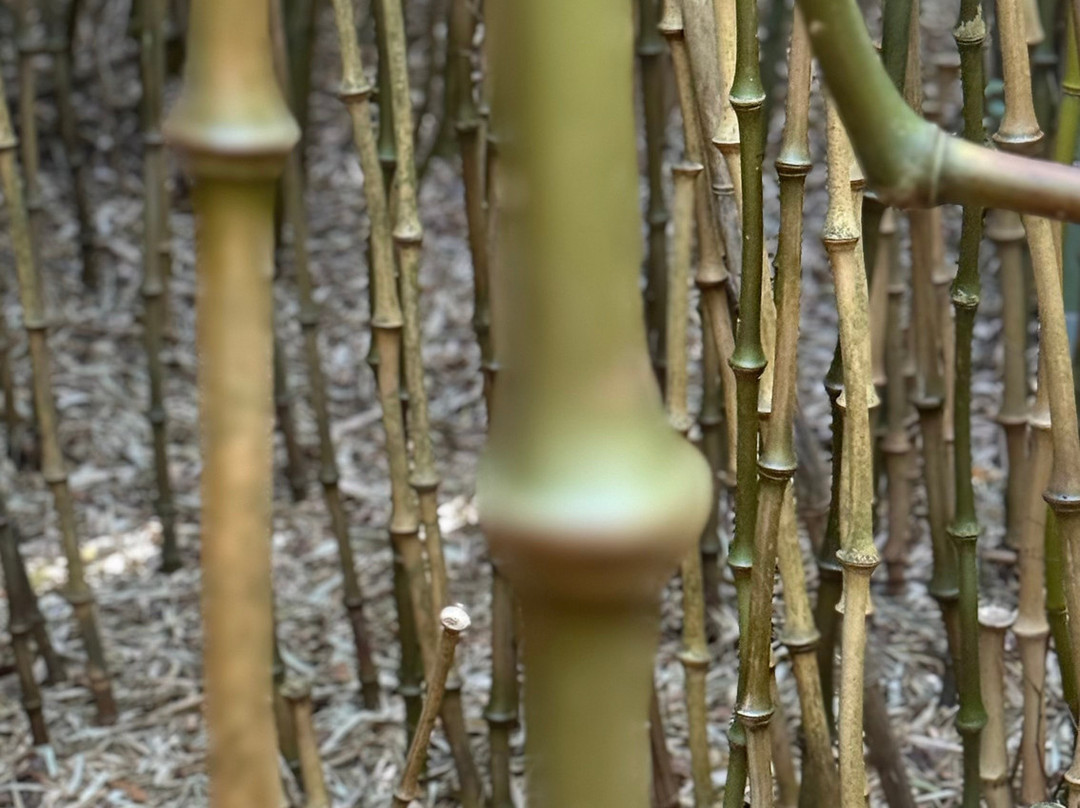 Jungle Garden-Eu必去景点