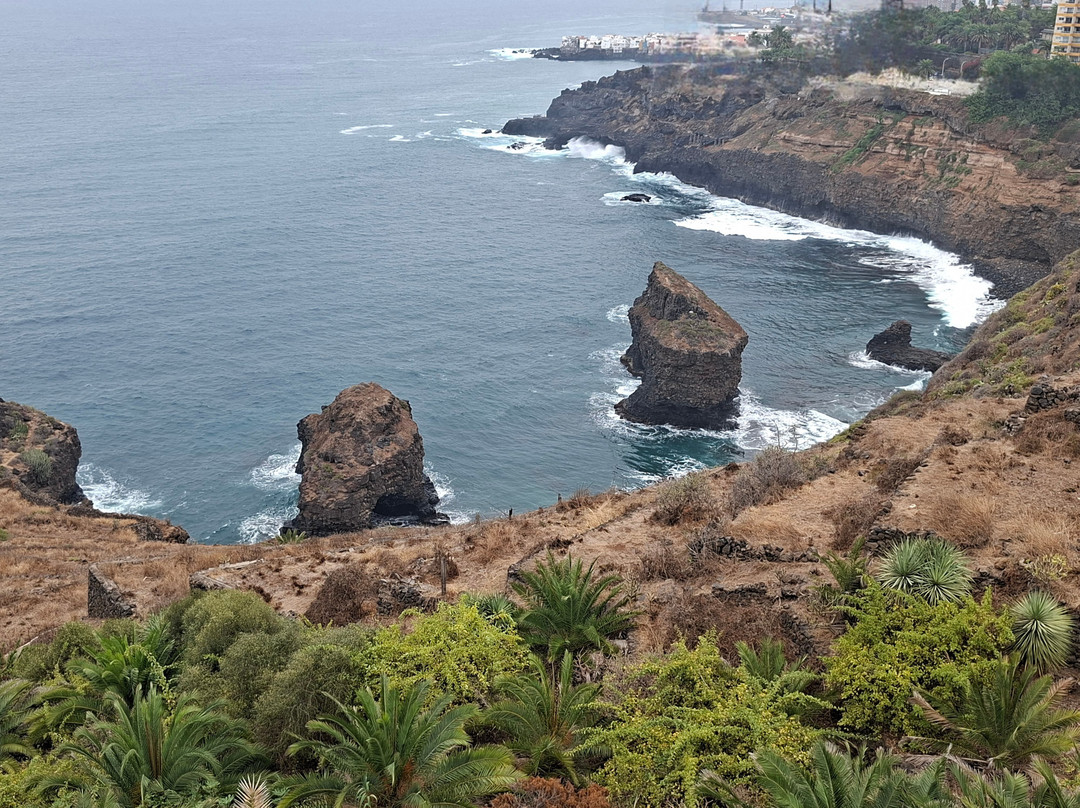 Paisaje Protegido De La Rambla De Castro-Los Realejos必去景点