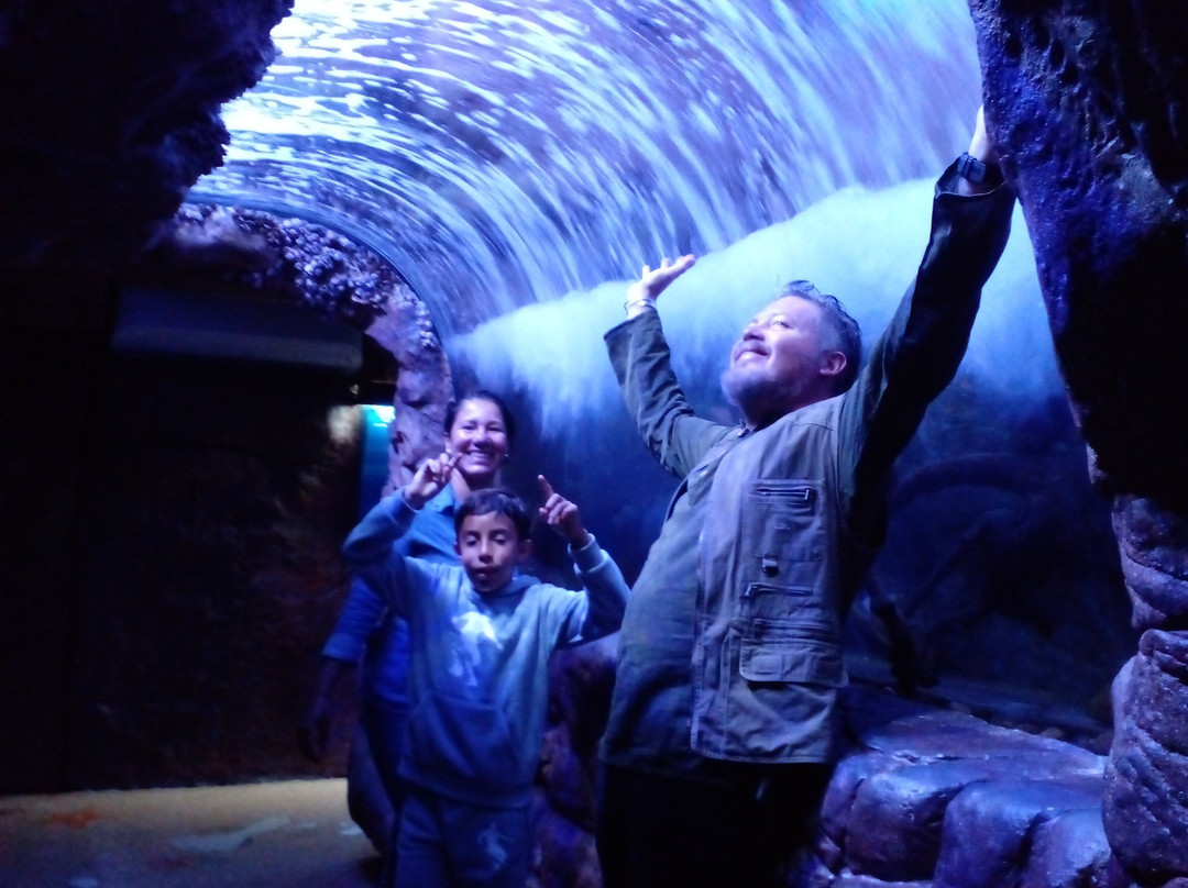 Ubatuba Aquarium-乌巴图巴必去景点