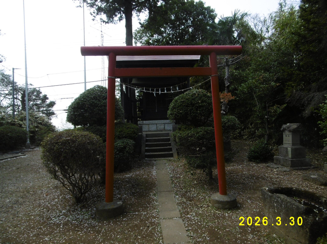 The weeping cherry tree at Tanomoshi Yakushido Temple-板仓町必去景点