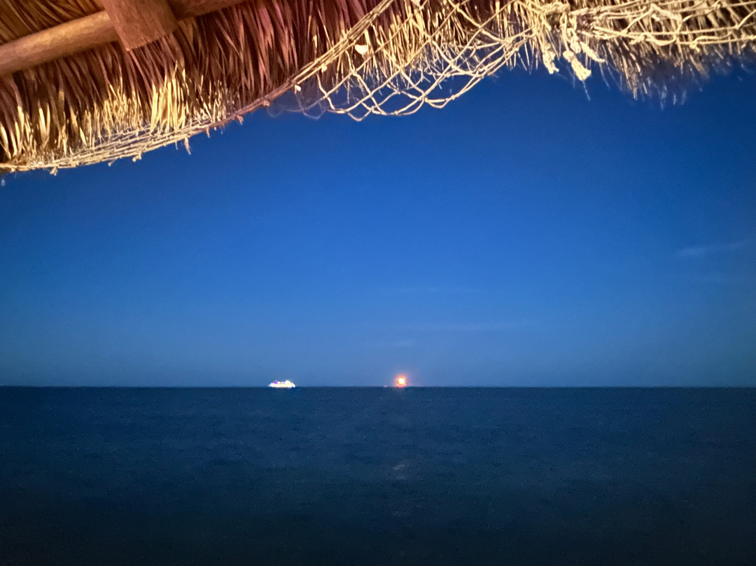 Rikki Tiki Tavern-可可海滩必去景点