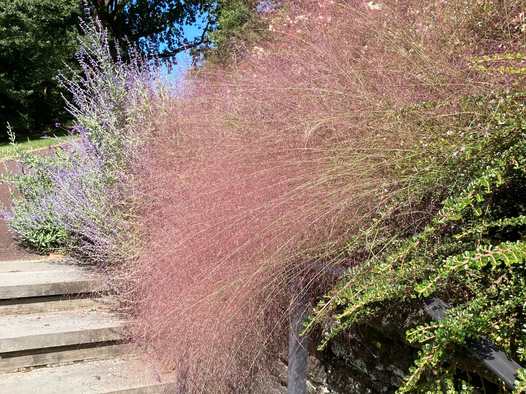 莫里斯植物园-费城必去景点
