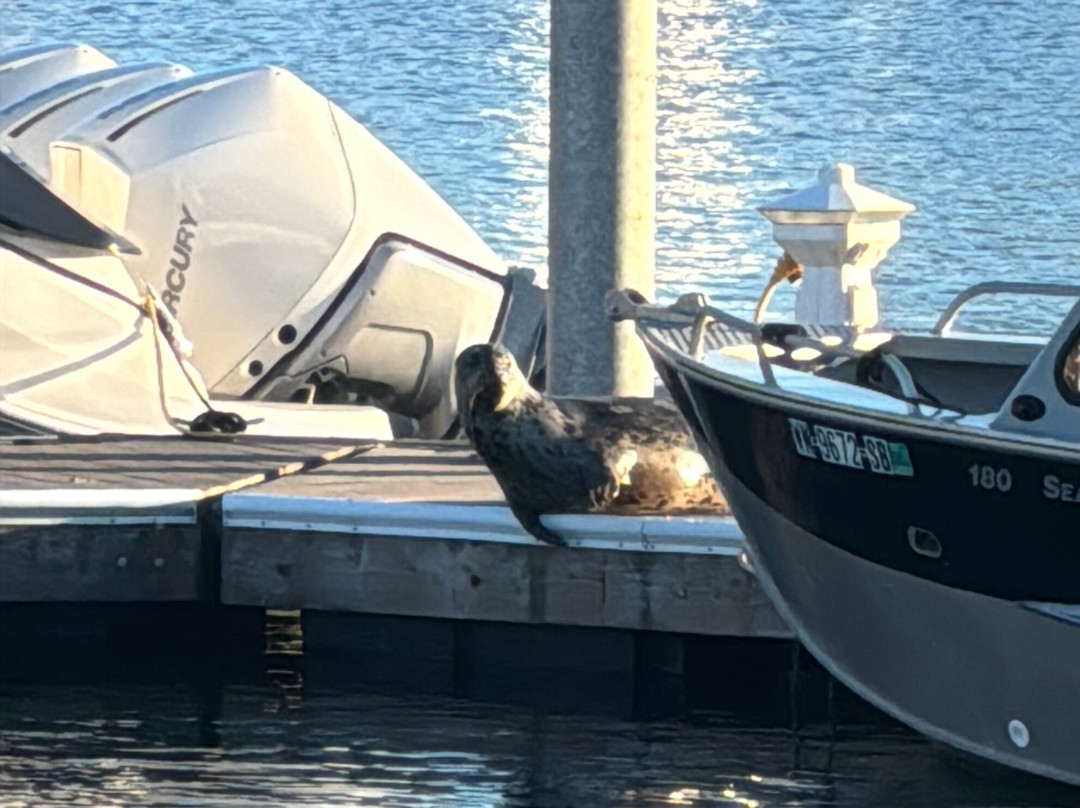 海滨旅馆主图
