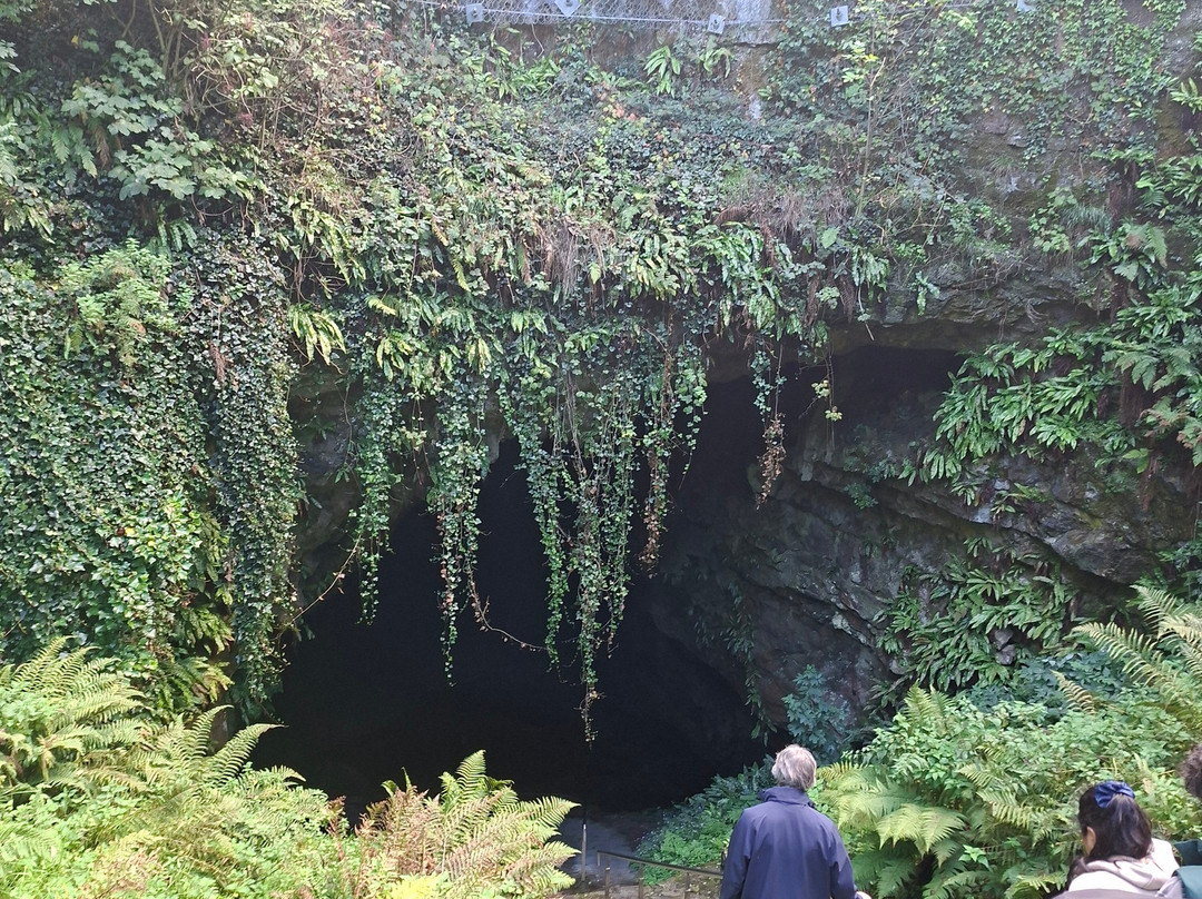 Dunmore Cave-基尔肯尼郡必去景点