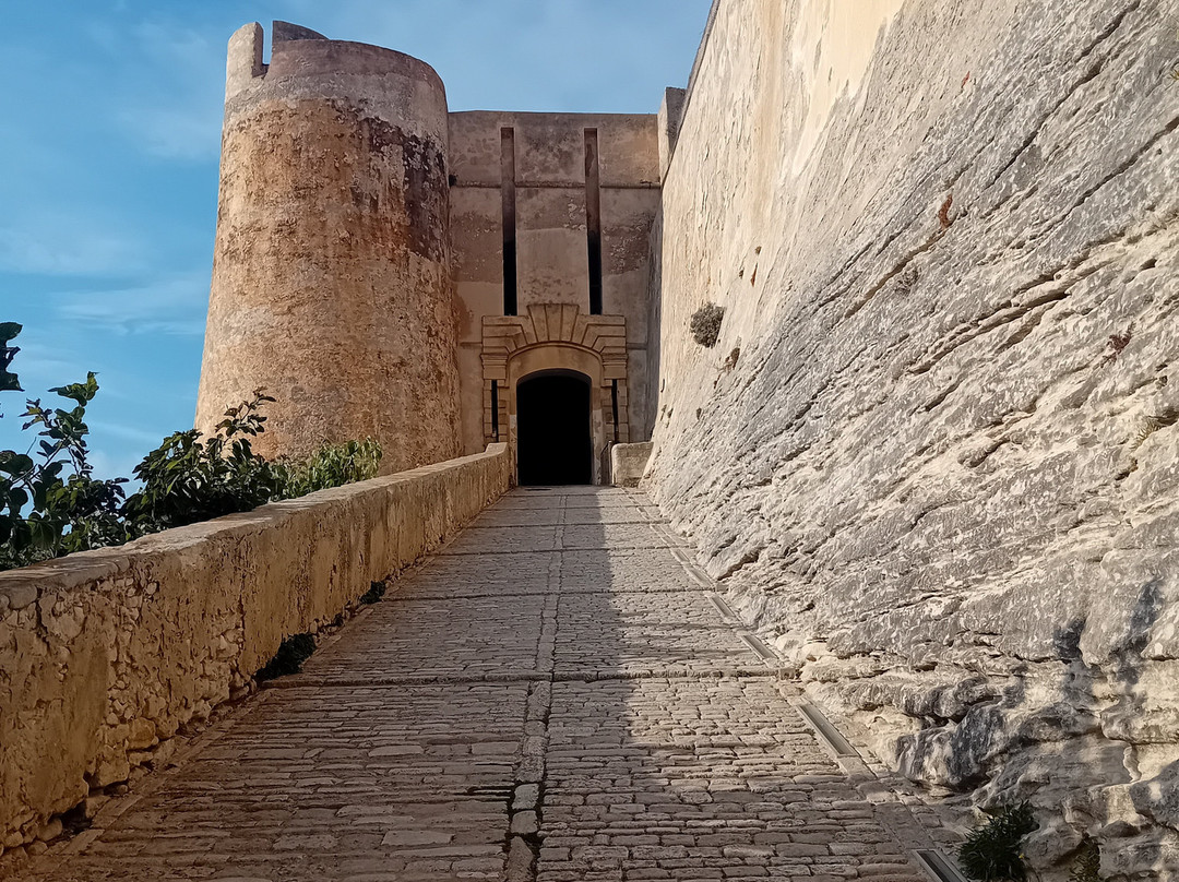Ollandini Autocars de Tourisme-阿雅克肖必去景点