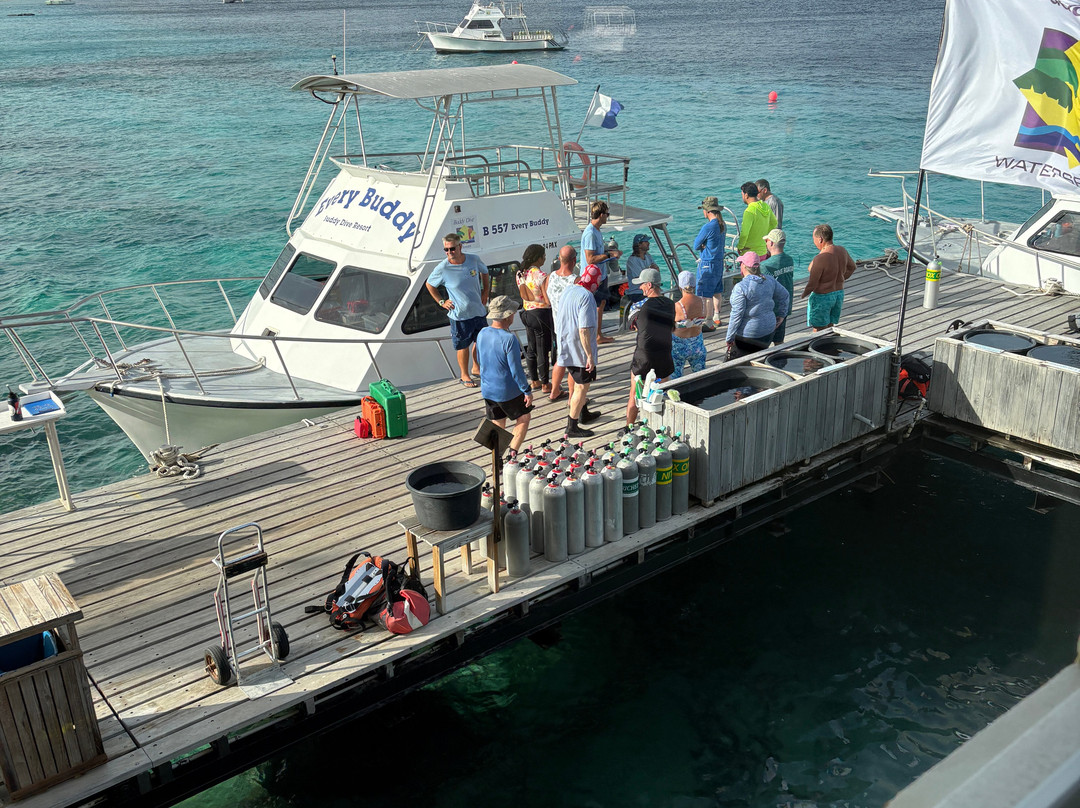 Buddy Dive Water Sports-Kralendijk必去景点