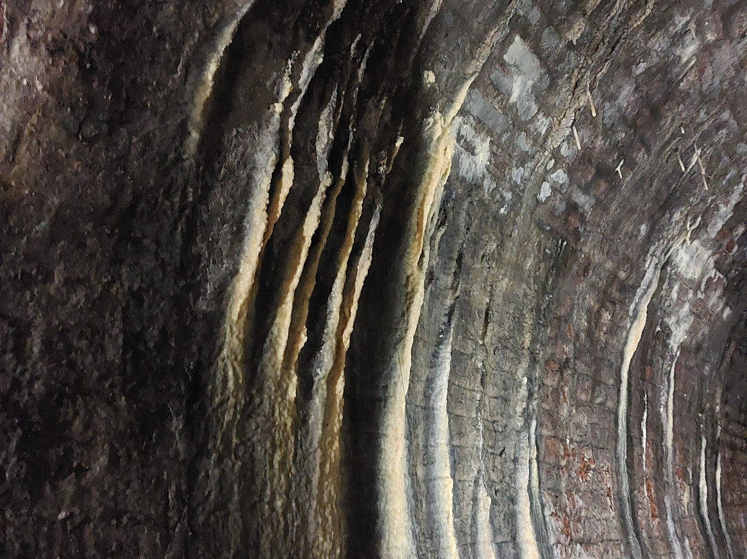 Fort Sint Pieter-马斯特里赫特必去景点