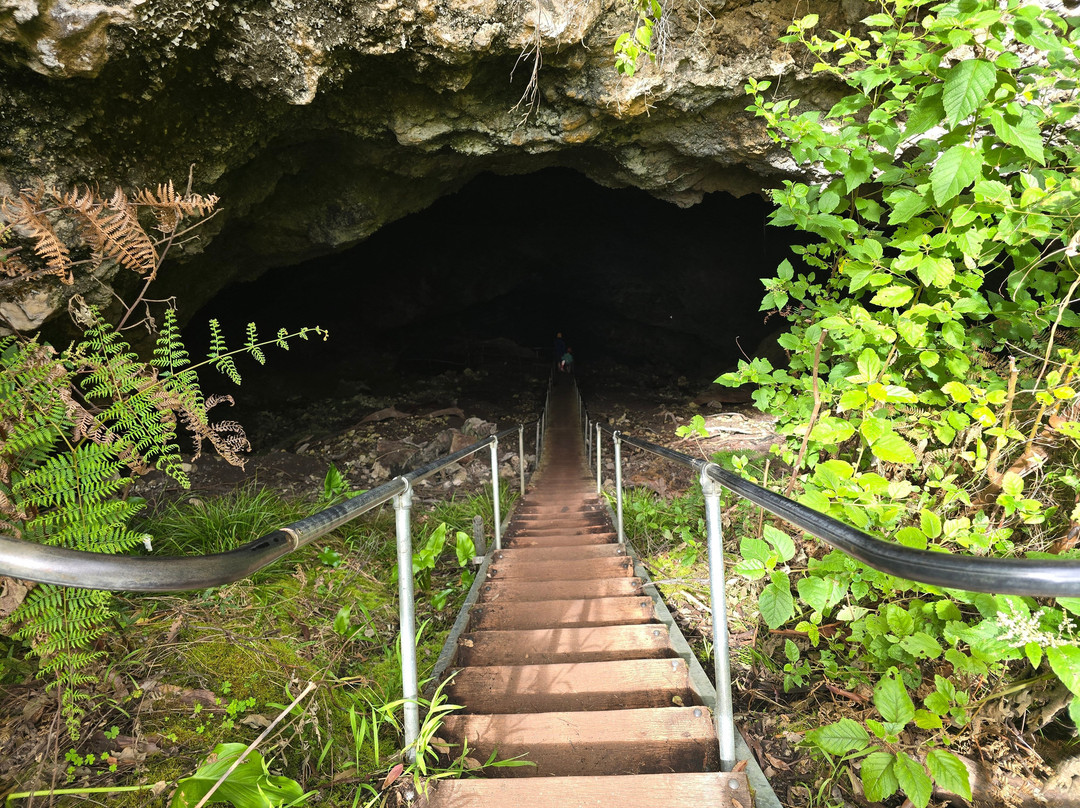 Giants Cave-Forest Grove必去景点