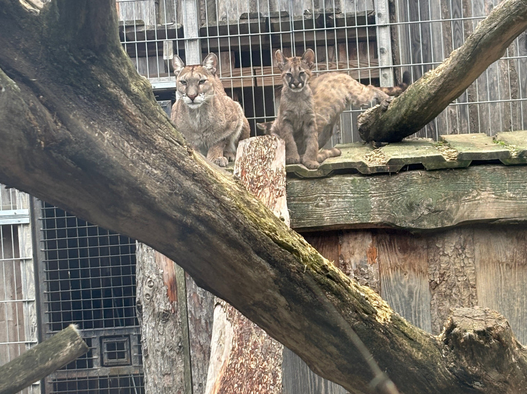 Krokodille Zoo-Eskilstrup必去景点