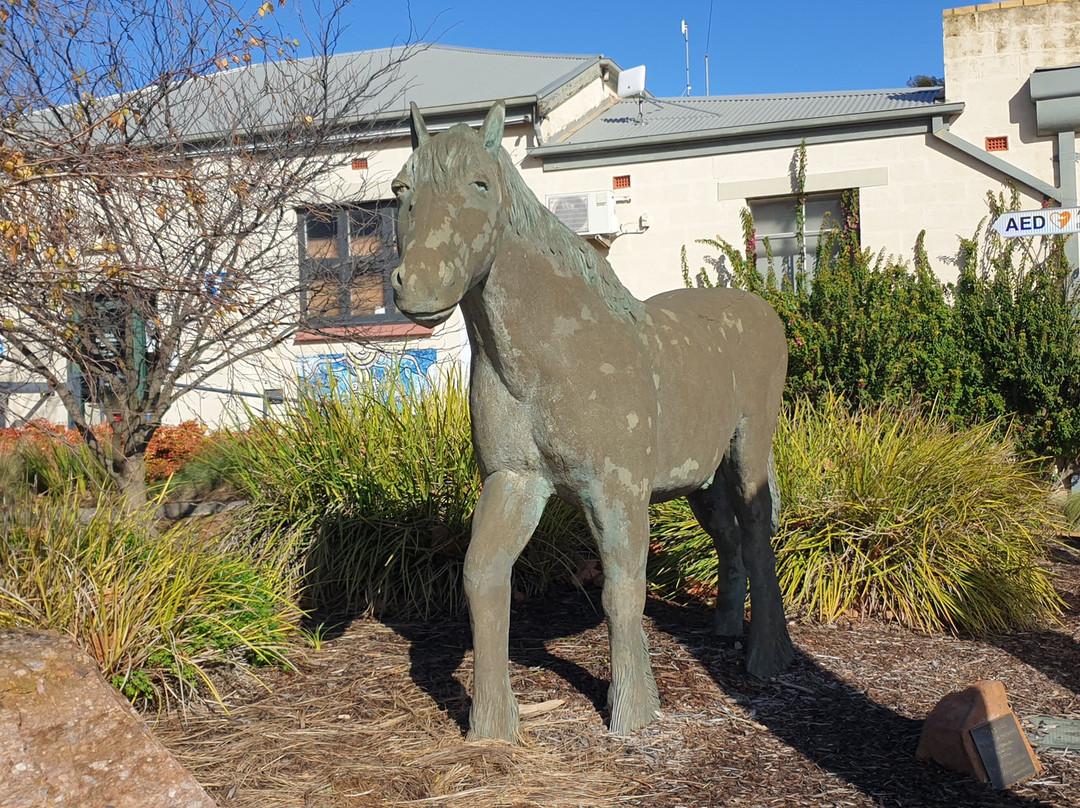 Clydesdale Memorial-Maitland必去景点