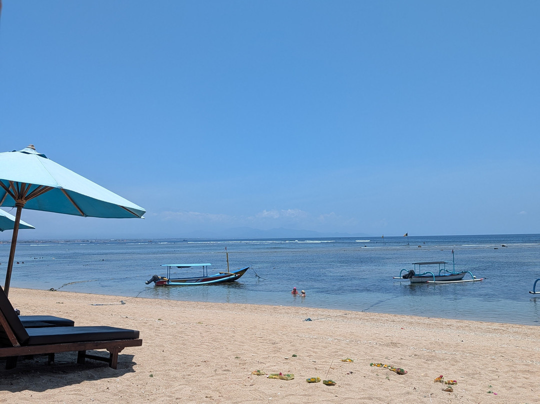Newarung Caretta-caretta