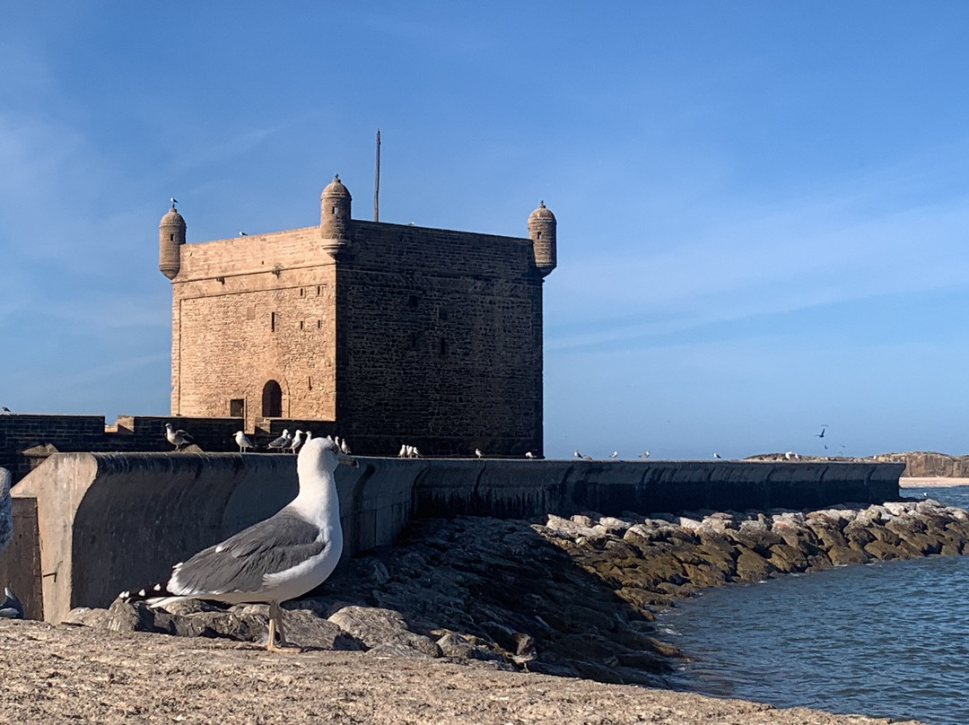 Morocco Gate Tours-非斯必去景点