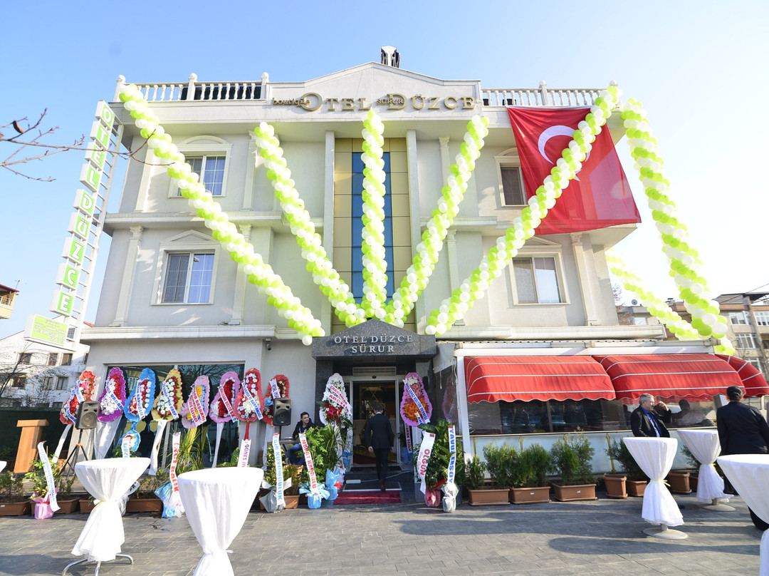 迪兹杰酒店住宿-Hotel Duzce Surur & Spa