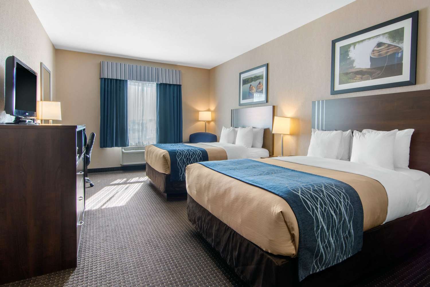 Comfort Inn & Suites-官方