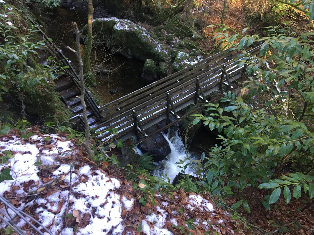 The Double Bridge of Rumbling Bridge景点图片