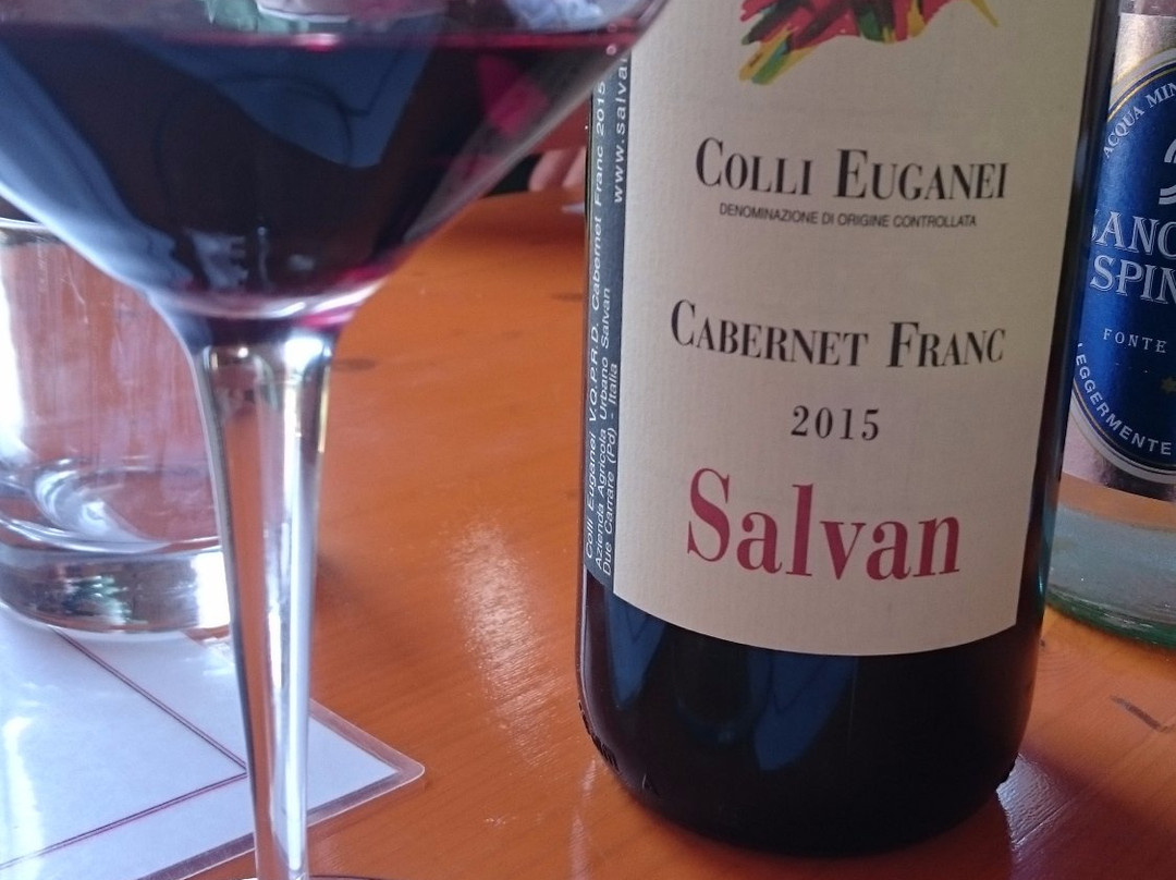 Cantina Salvan - Vigne Del Pigozzo景点图片