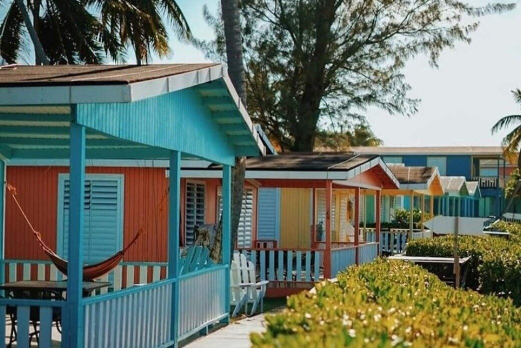 The Whales Las Ballenas