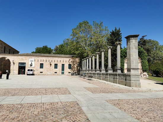 Plaza de la Catedral景点图片