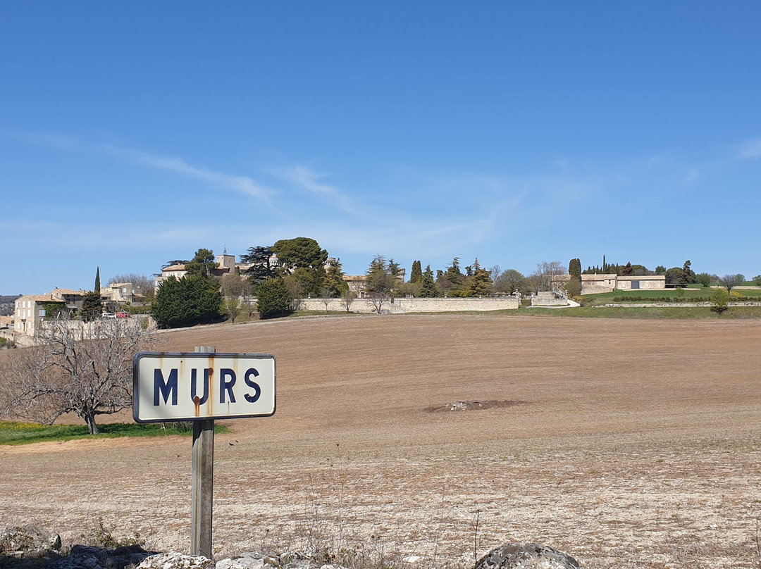 Château de Murs景点图片