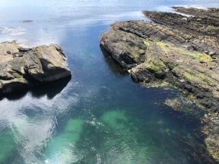 Springbank Bed & Breakfast主图