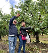 Appleshack at Glenbernie Orchard-Darkes Forest必去景点