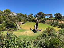 Norval Foundation-Tokai必去景点