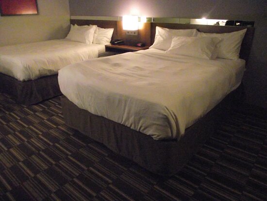 Microtel Inn & Suites by Wyndham Windham-客卧