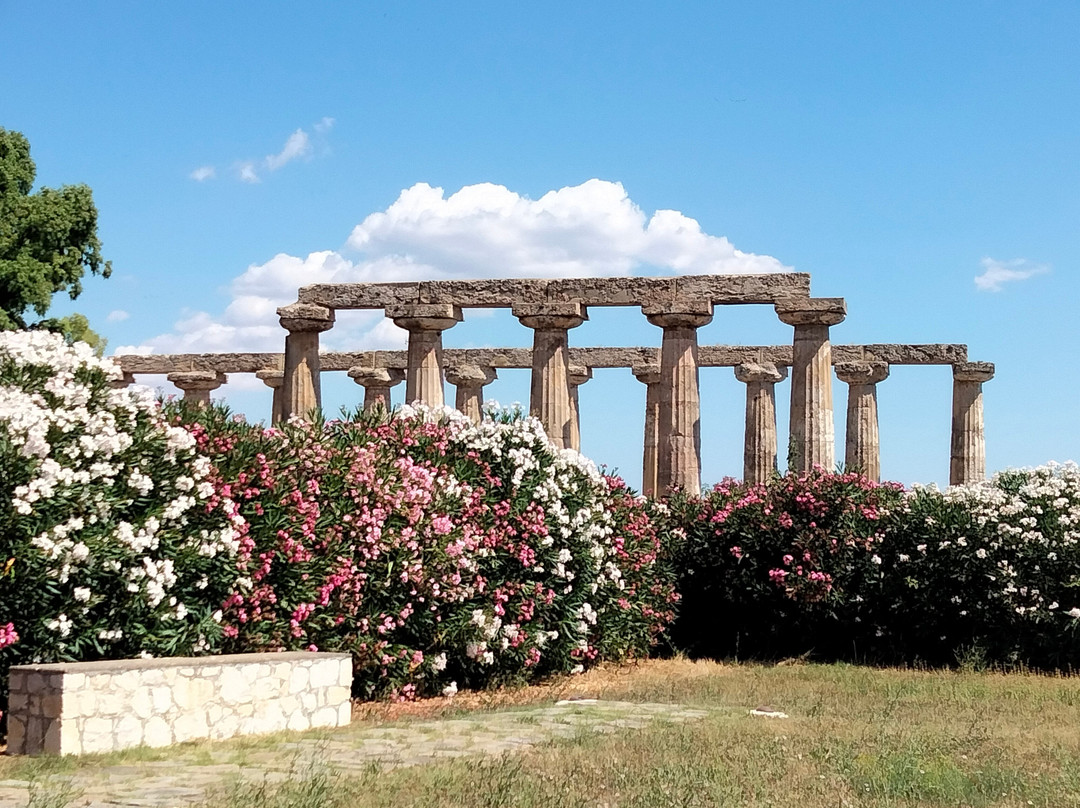 Tavole Palatine - Tempio di Hera景点图片