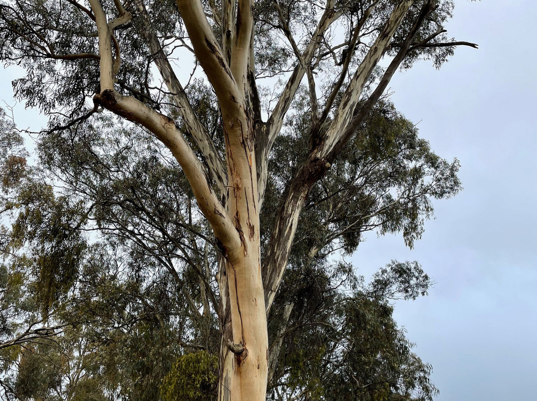 Gold Prospectors Cairn