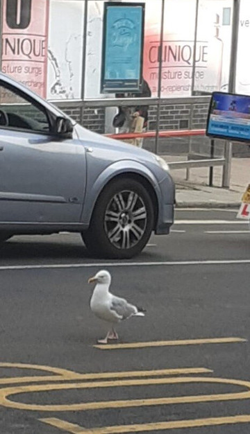 The Quadrant-布莱顿必去景点