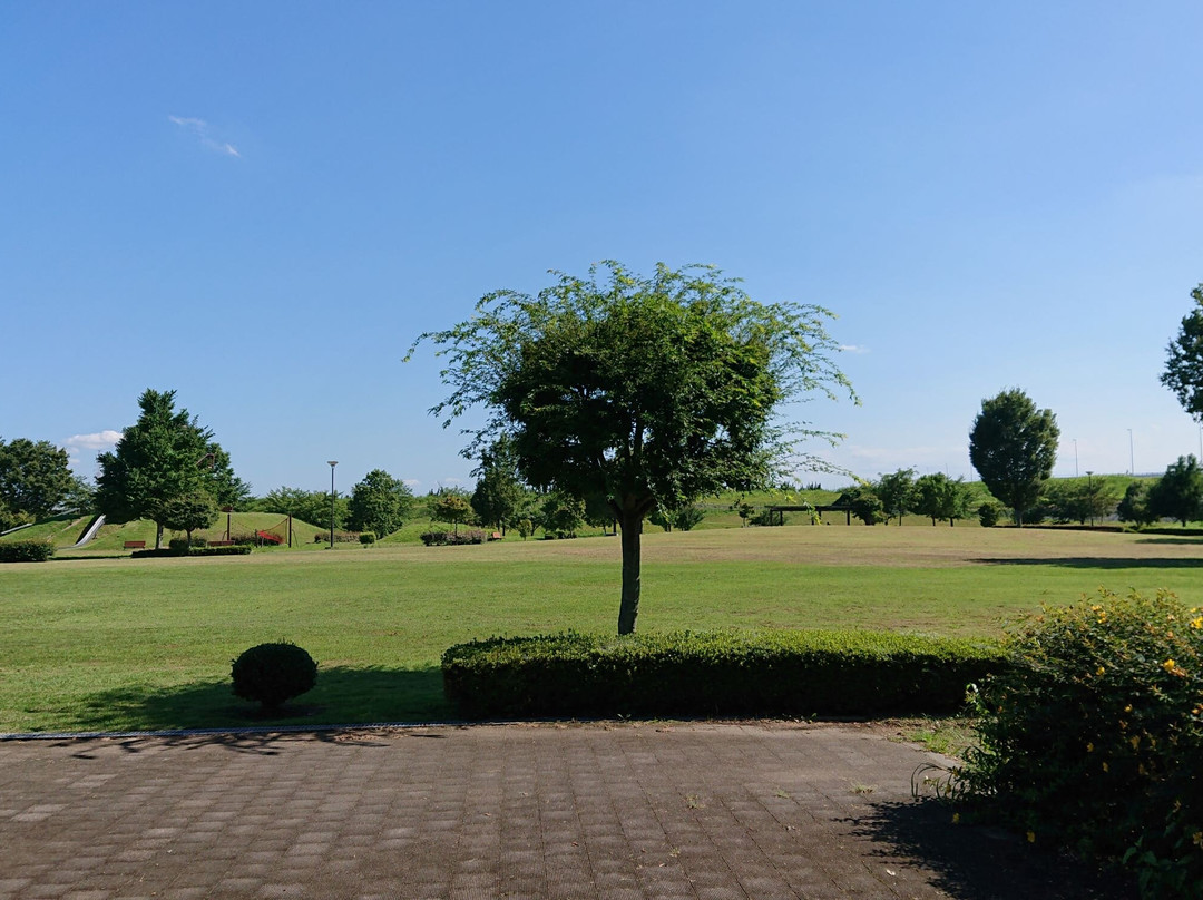 Isesaki Hiratsuka Park景点图片