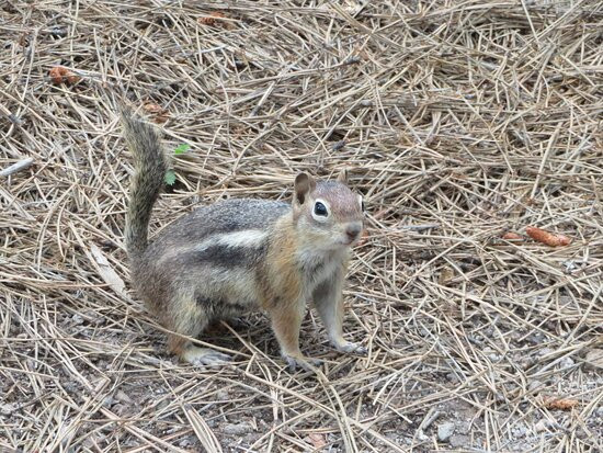 Fenton Lake State Park-Jemez Springs必去景点