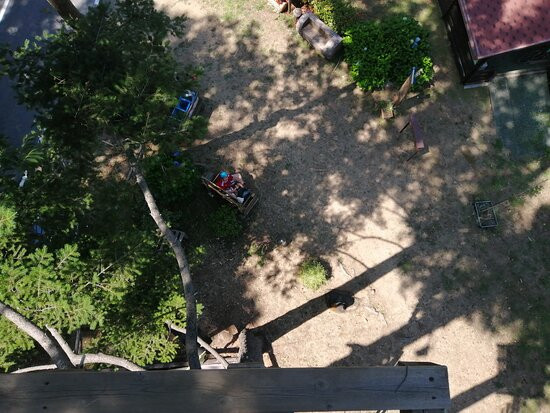 Parco Avventura Sospeso nel Verde景点图片