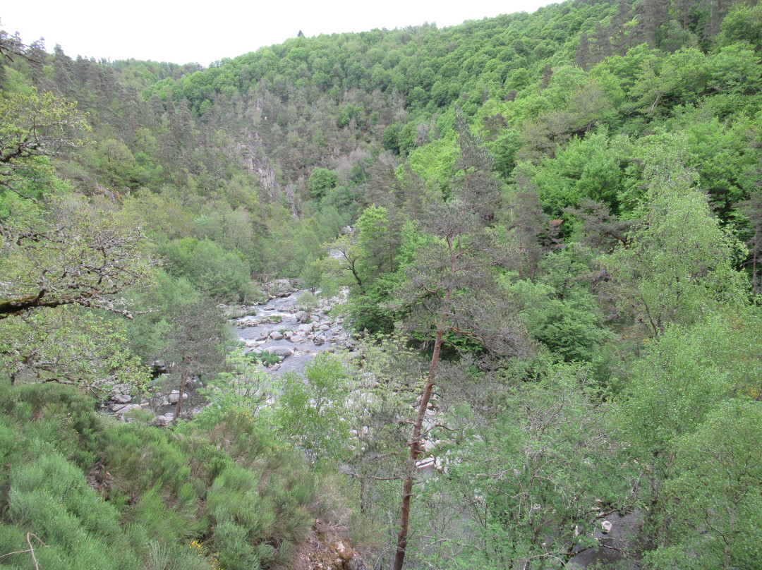 Gorges du Bès景点图片