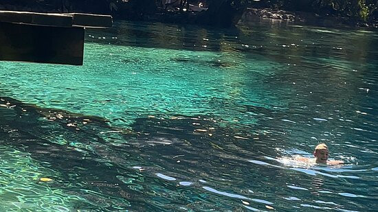 Coldwater Excursions景点图片