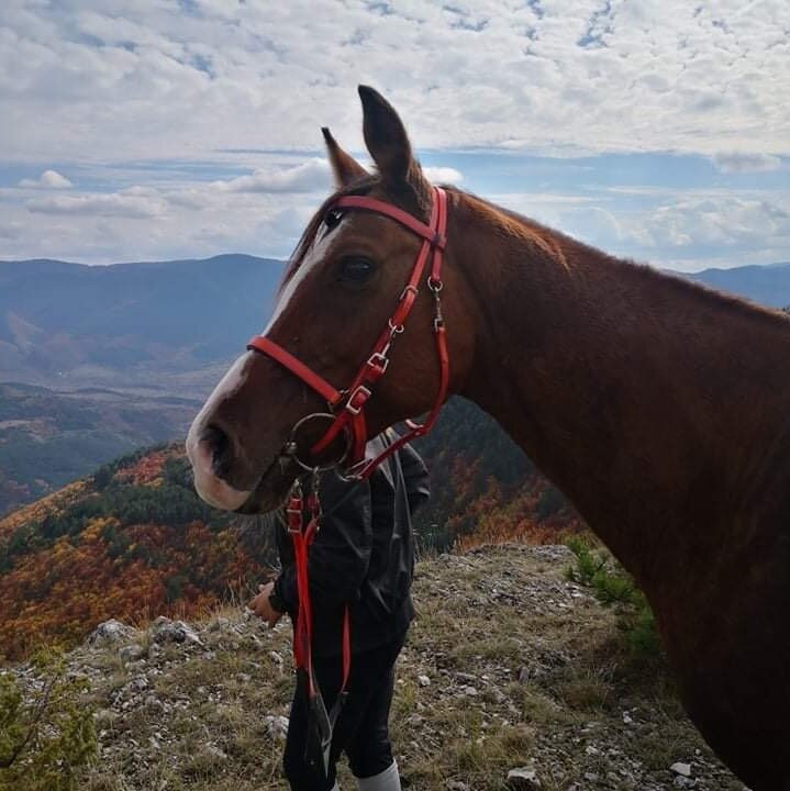 Horse riding Asparuh景点图片