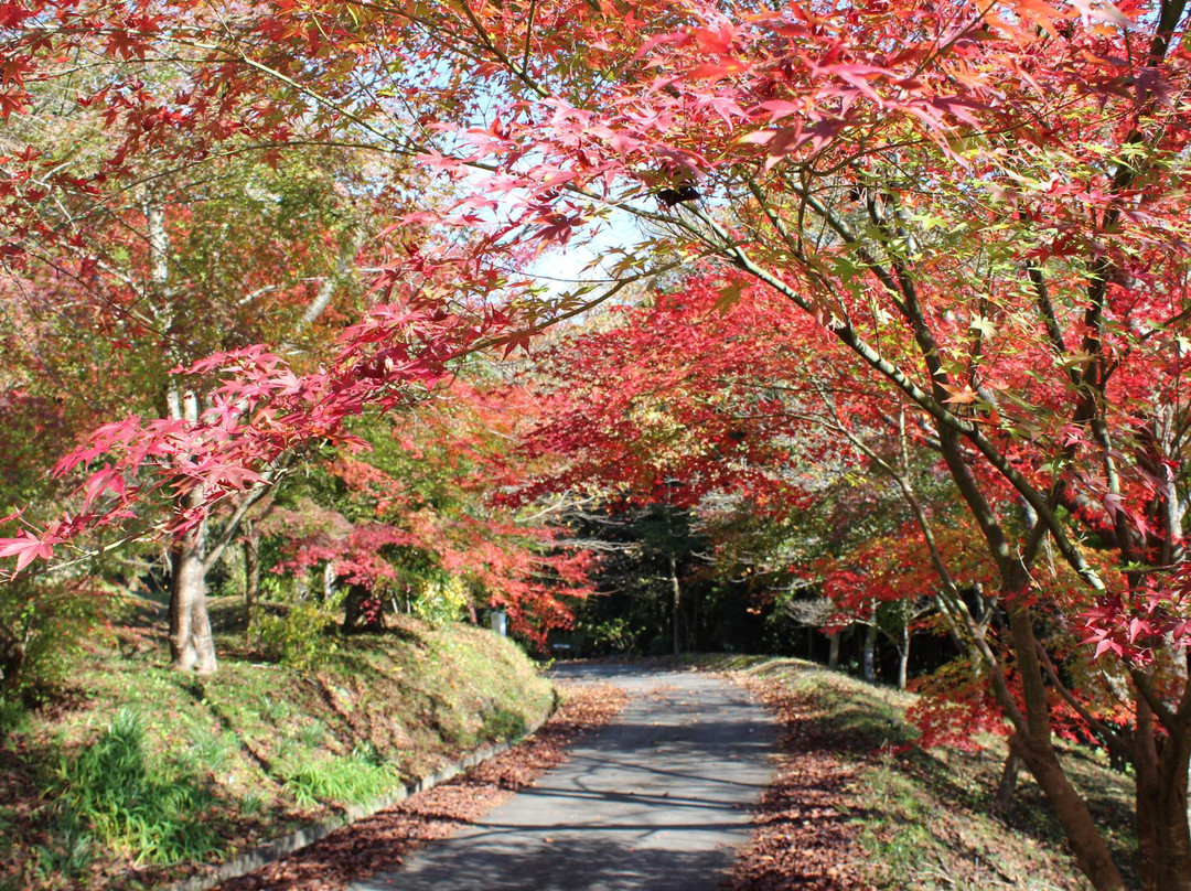 Wachisan Yaso no Forest-京丹波町必去景点