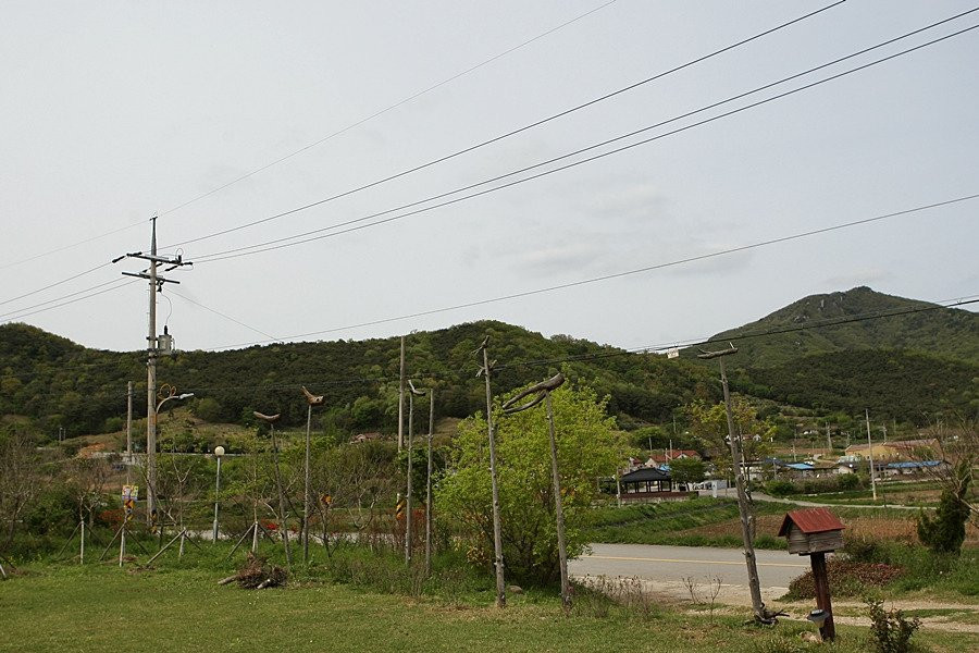 咸平郡旅游景点-Jamweol Art Museum