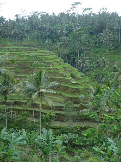 Bali Viaje景点图片